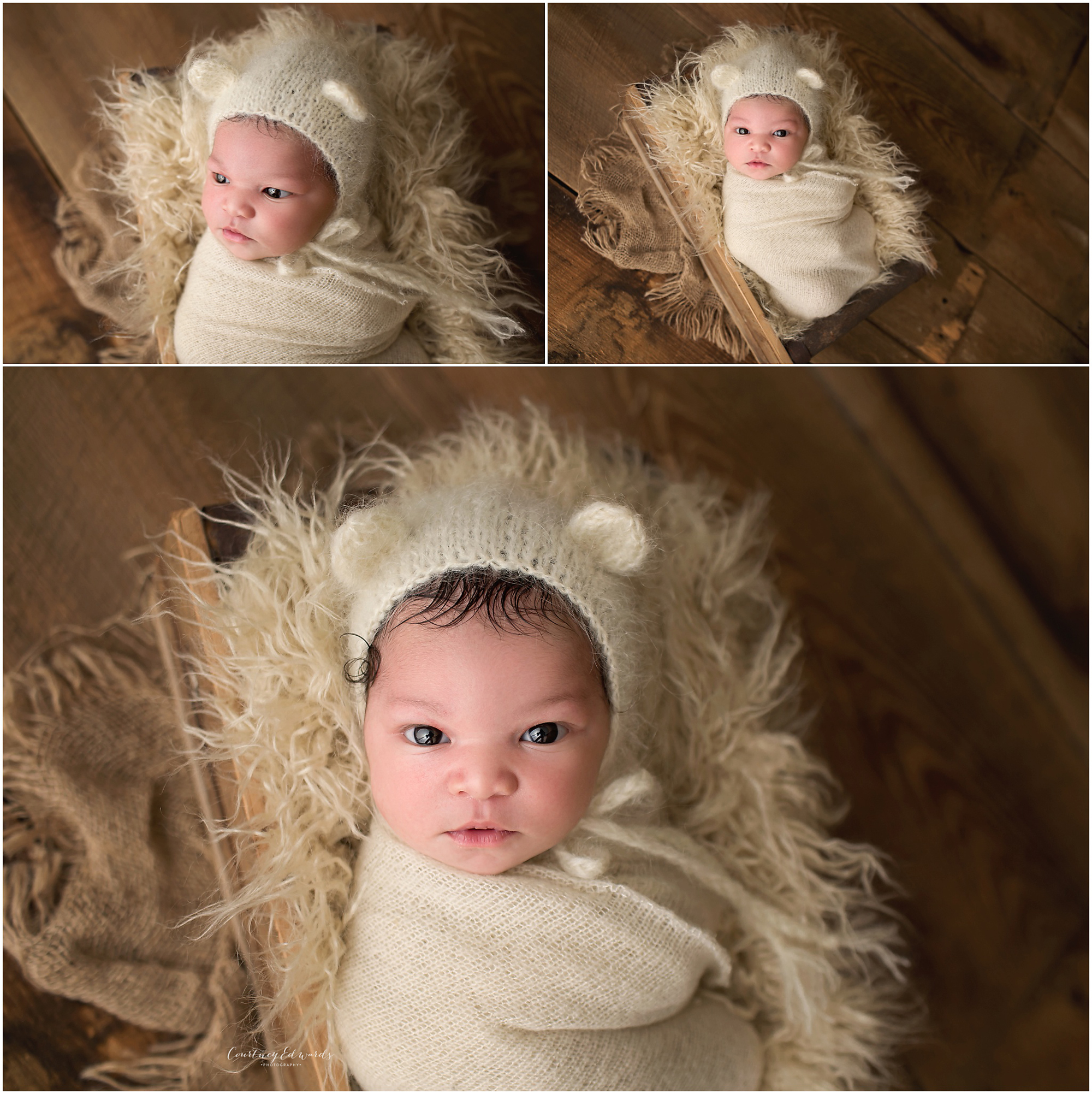 memphis newborn girl in bear bonnet